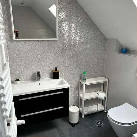 Apartament Loft Elsnera3