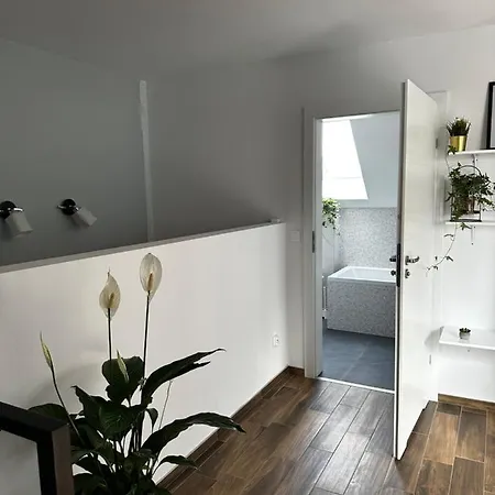 Loft Elsnera3 Apartament