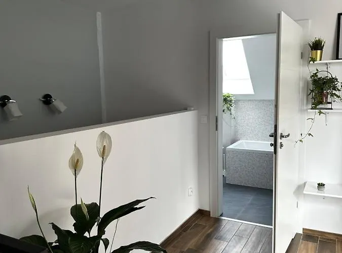 Loft Elsnera3 아파트